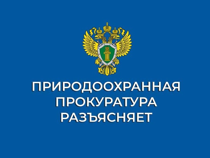 Разъяснение Калужской межрайонной природоохранной прокуратуры о возможности владения на праве собственности земельным участком, расположенным в береговой полосе и акватории водного объекта.